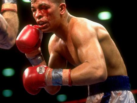 Arturo Gatti Boxing Career DVDs Discount