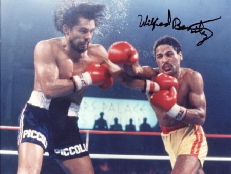 Wilfred Benitez - Career Boxing DVDs Hot on Sale