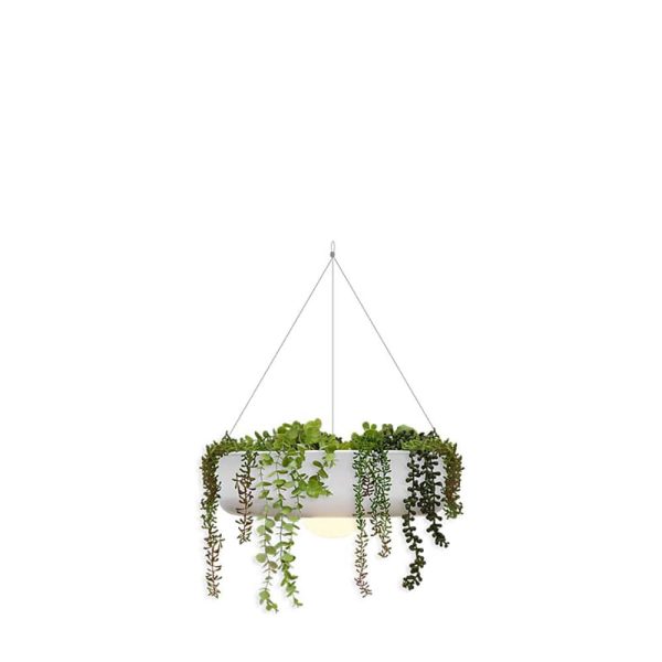 Elba Hanging Planter Light on Sale