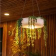 Elba Hanging Planter Light on Sale