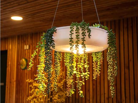 Elba Hanging Planter Light on Sale