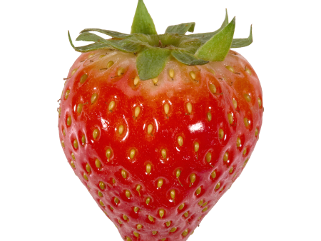 Strawberry Sticker Discount